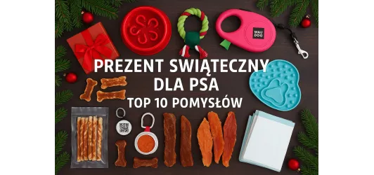 Prezent dla psa na święta  - TOP 10 pomysłów